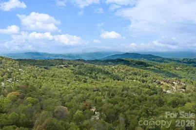 576 Eagle Springs Trail, Banner Elk, NC 28604 - Photo 42