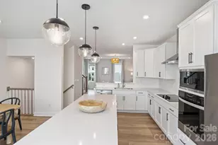 3024 Red Cardinal Ln, Charlotte, NC 28211 - Photo 20