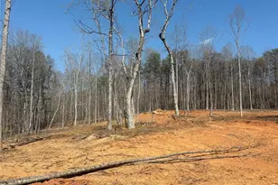 Tbd Avenida De Oro Rd, Morganton, NC 28655 - Photo 1