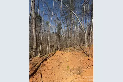Tbd Avenida De Oro Road #3.2, Morganton, NC 28655 - Photo 1