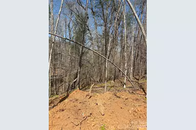 Tbd Avenida De Oro Road #3.2, Morganton, NC 28655 - Photo 2