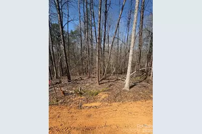 Tbd Avenida De Oro Road #3.1, Morganton, NC 28655 - Photo 4
