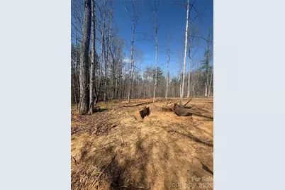 Tbd Avenida De Oro Road #3.1, Morganton, NC 28655 - Photo 2