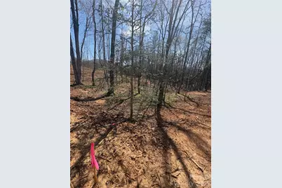 Tbd Avenida De Oro Road #2.1, Morganton, NC 28655 - Photo 2