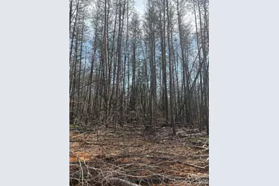 Tbd Avenida De Oro Road #2.2, Morganton, NC 28655 - Photo 1