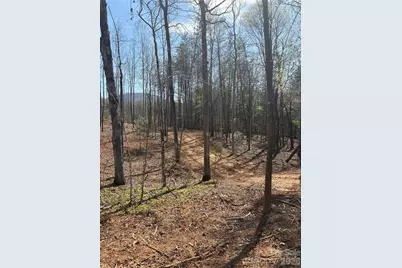Tbd Avenida De Oro Road #2.2, Morganton, NC 28655 - Photo 2
