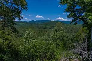 1542 Hwy 226 Hwy, Casar, NC 28020 - Photo 8