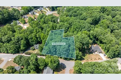 163 Shenandoah Loop, Troutman, NC 28166 - Photo 1