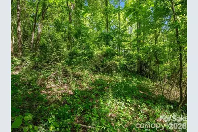 00 Hamilton Acres Drive, Hendersonville, NC 28792 - Photo 8