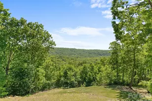 852 Marshall Ridge Rd, Edneyville, NC 28792 - Photo 18