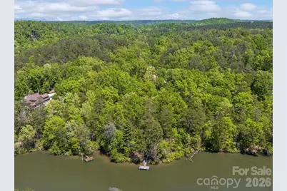 14 South Cove Road #14, Mill Spring, NC 28756 - Photo 4