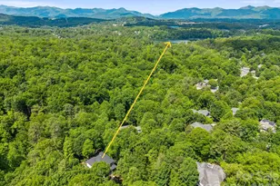 11 Blue Damsel Ct, Biltmore Lake, NC 28715 - Photo 44