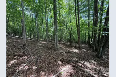 0000 Hardwood Summit Drive #191, Hendersonville, NC 28739 - Photo 6
