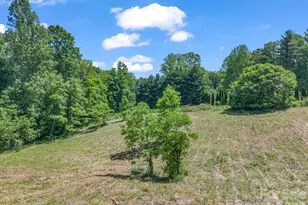 255 & 257 Crescent St, Saluda, NC 28773 - Photo 44