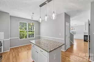 13624 Michael Lynn Rd, Charlotte, NC 28278 - Photo 8