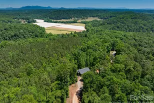 419 Travelers Rest Ln, Rutherfordton, NC 28139 - Photo 32