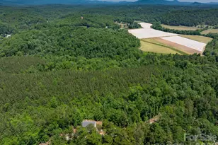 419 Travelers Rest Ln, Rutherfordton, NC 28139 - Photo 30