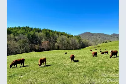 Tbd W Hwy 19 Highway E, Burnsville, NC 28714 - Photo 24