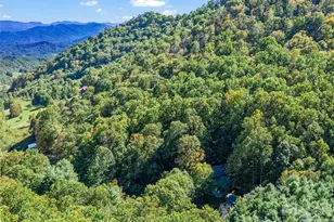 81 Summer Trees Ln, Burnsville, NC 28714 - Photo 40