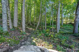81 Summer Trees Ln, Burnsville, NC 28714 - Photo 36