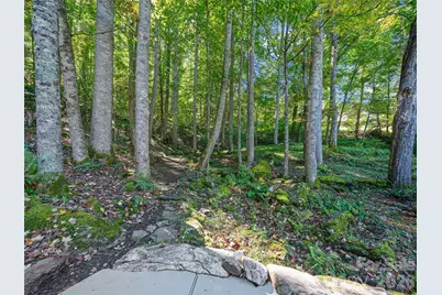 81 Summer Trees Lane, Burnsville, NC 28714 - Photo 36