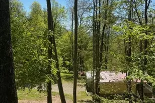 918 Plott Balsam Rd, Maggie Valley, NC 28751 - Photo 10