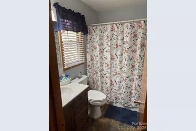 918 Plott Balsam Road, Maggie Valley, NC 28751 - Photo 24