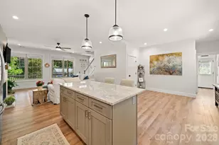 445 Governors View Rd, Asheville, NC 28805 - Photo 10