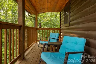 517 Luther Burbank Dr, Lake Lure, NC 28746 - Photo 22