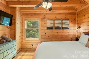 517 Luther Burbank Dr, Lake Lure, NC 28746 - Photo 26