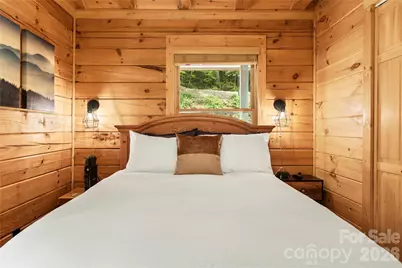 517 Luther Burbank Drive, Lake Lure, NC 28746 - Photo 24
