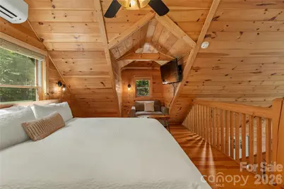 517 Luther Burbank Drive, Lake Lure, NC 28746 - Photo 10