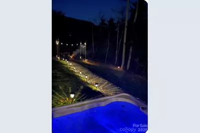 517 Luther Burbank Drive, Lake Lure, NC 28746 - Photo 48