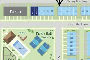 6557 Fire Lily Ln, Charlotte, NC 28216 - Photo 4