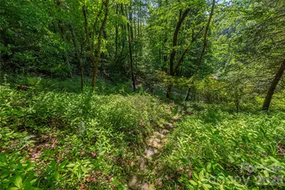 154 Timberside Drive, Mars Hill, NC 28754 - Photo 32