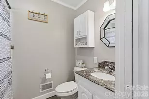 2850 Mathis Church Rd, Catawba, NC 28609 - Photo 28