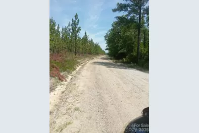 3328 Love Road, Kershaw, SC 29067 - Photo 10