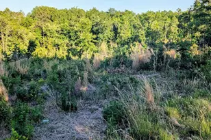 3328 Love Rd, Kershaw, SC 29067 - Photo 8