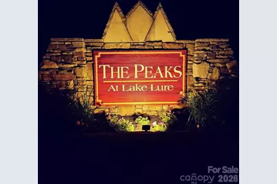301 Peaks Drive, Lake Lure, NC 28746 - Photo 48