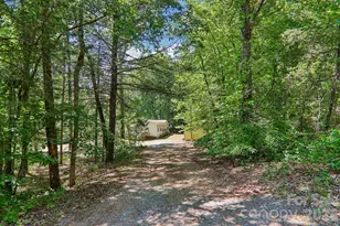 125 Cove Creek Dr, Rutherfordton, NC 28139 - Photo 4