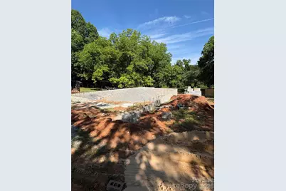 42 Peniel Road, Columbus, NC 28782 - Photo 4