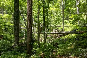 8 Westward Way, Bakersville, NC 28705 - Photo 10