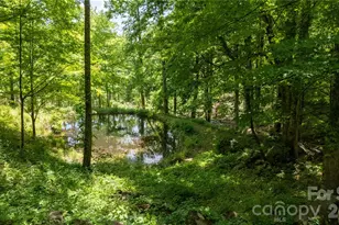8 Westward Way, Bakersville, NC 28705 - Photo 12