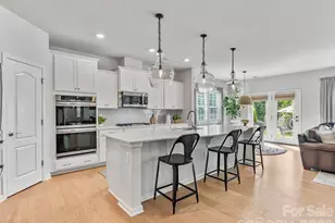 3141 Deep River Wy, Waxhaw, NC 28173 - Photo 10