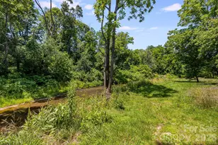 67 Banks Town Rd, Weaverville, NC 28787 - Photo 34