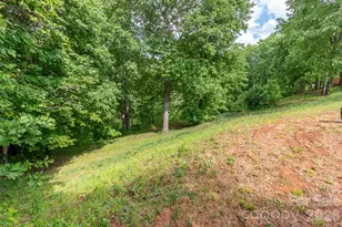 451 Rustic Ridge Dr, Canton, NC 28716 - Photo 36