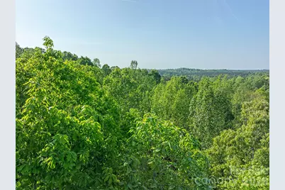 4444 Groves Road, Union Mills, NC 28167 - Photo 6