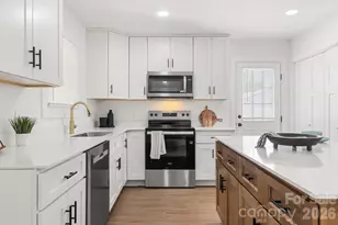 12101 Charing Grove Ln, Charlotte, NC 28273 - Photo 10