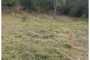 38 Short Eason Rd, Ruby, SC 29741 - Photo 18