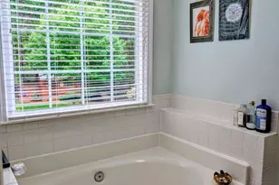 19138 Brookgreen Garden Pl, Cornelius, NC 28031 - Photo 28